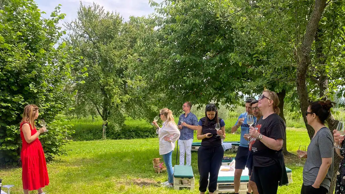 A small group with wine glasses standing on a lawn under trees at a vineyard tasting