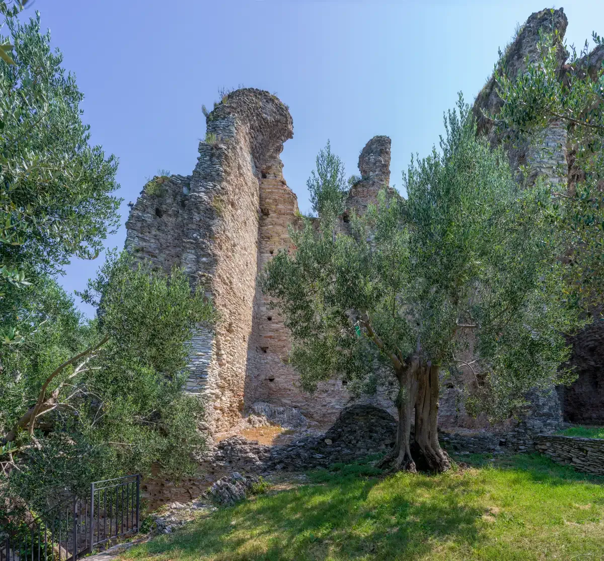 Roman brick walls and an olive tree at the Grottoes of Catullus in Sirmione